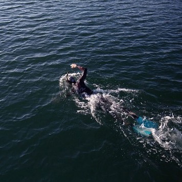 mengarungi samudra pasifik  ©Instagram @benlecomtetheswim dan Facebook Ben Lecomte The Swim