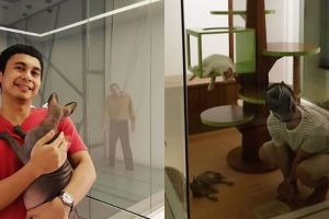 Kocak nan imut, ini 9 momen Raditya Dika main dengan kucingnya