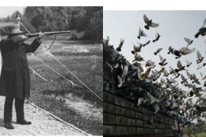 10 Cabang Olimpiade dunia jadul ini aneh, ada balapan merpati