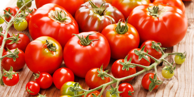 10 Buah ini ampuh turunkan kolesterol setelah santap hidangan Lebaran