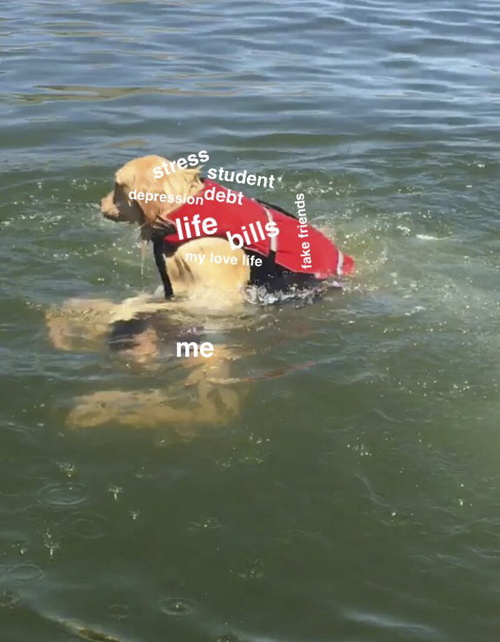 Bukannya bikin haru, kisah gadis dan anjingnya ini malah bikin ngakak