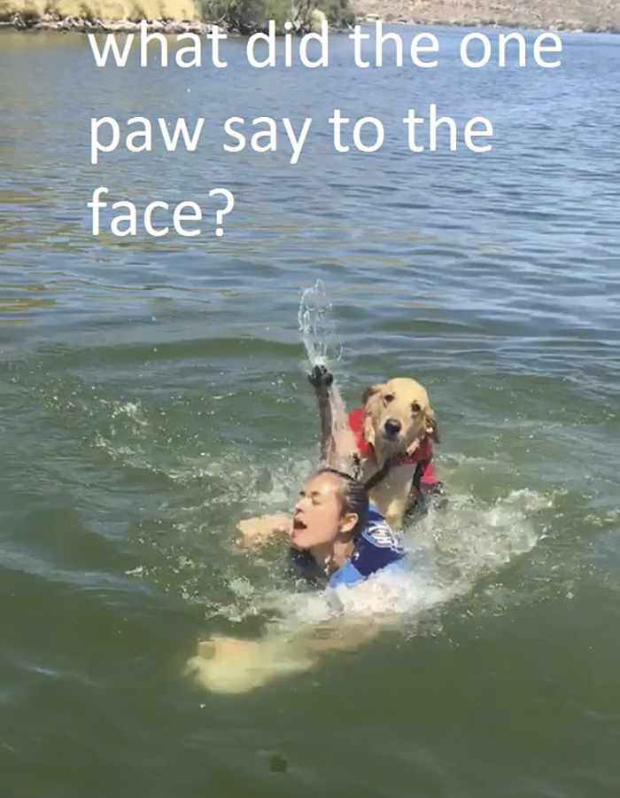 Bukannya bikin haru, kisah gadis dan anjingnya ini malah bikin ngakak