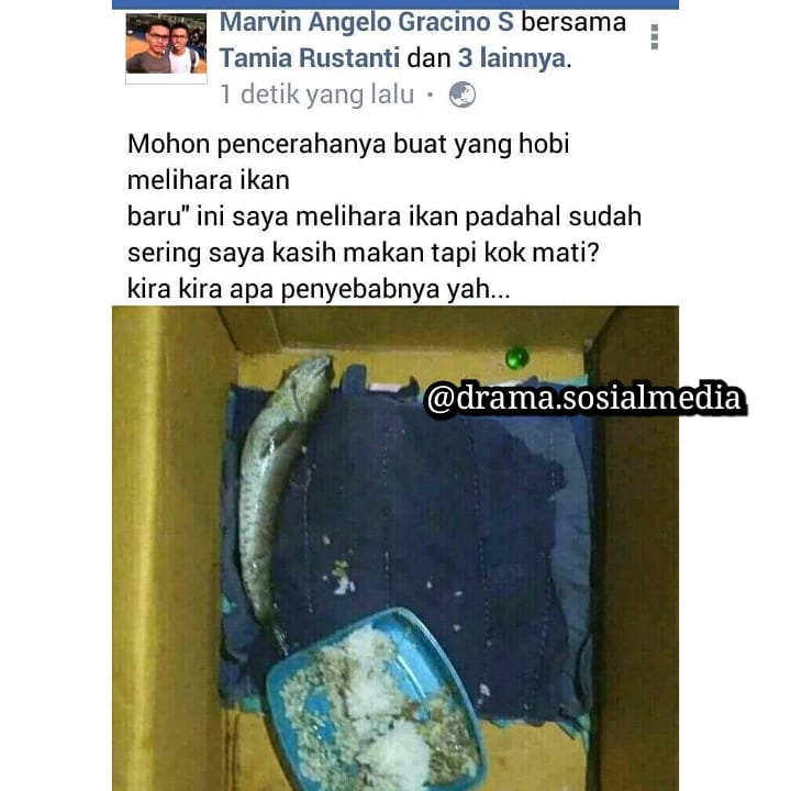 15 Pertanyaan aneh warganet di medsos ini bikin pusing mau jawab apa