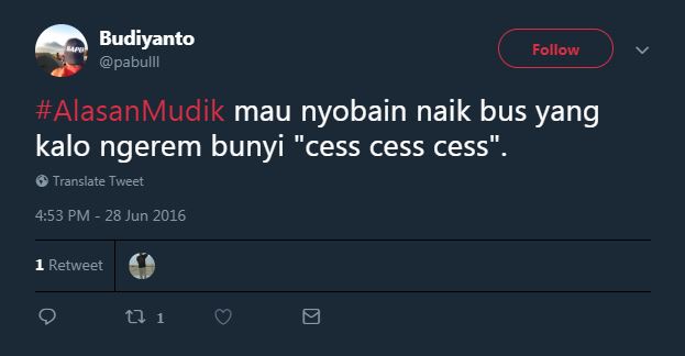 10 Curhat 'alasan mudik' ini bikin senyum sambil garuk-garuk kepala