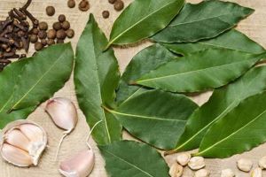 7 Jenis daun yang bikin masakan Indonesia makin mantap & lezat