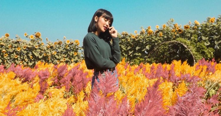 5 Kebun Bunga Di Jogja Ini Bisa Bikin Feed Instagrammu Makin Kece