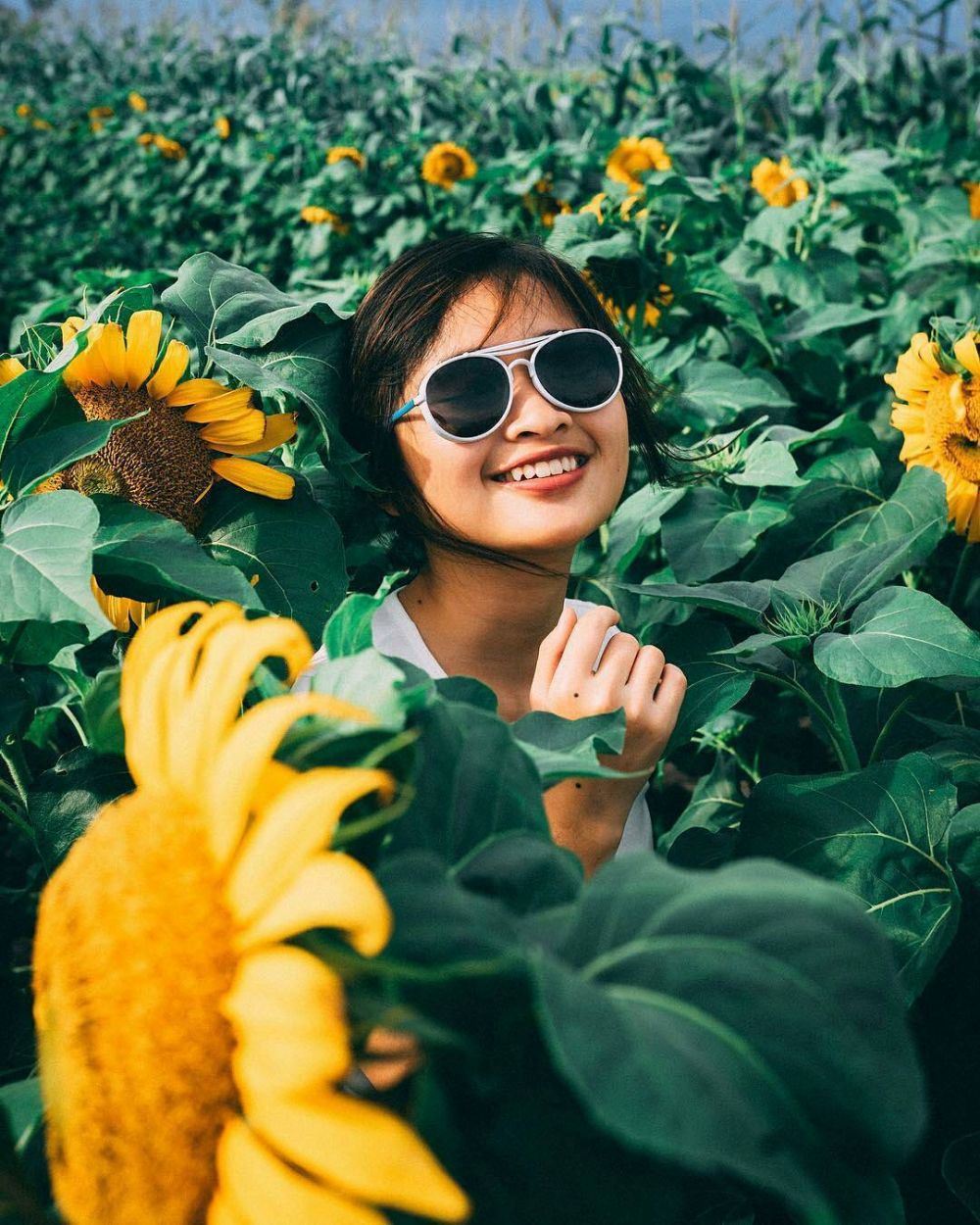 5 Kebun bunga di Jogja ini bisa bikin feed Instagrammu makin kece