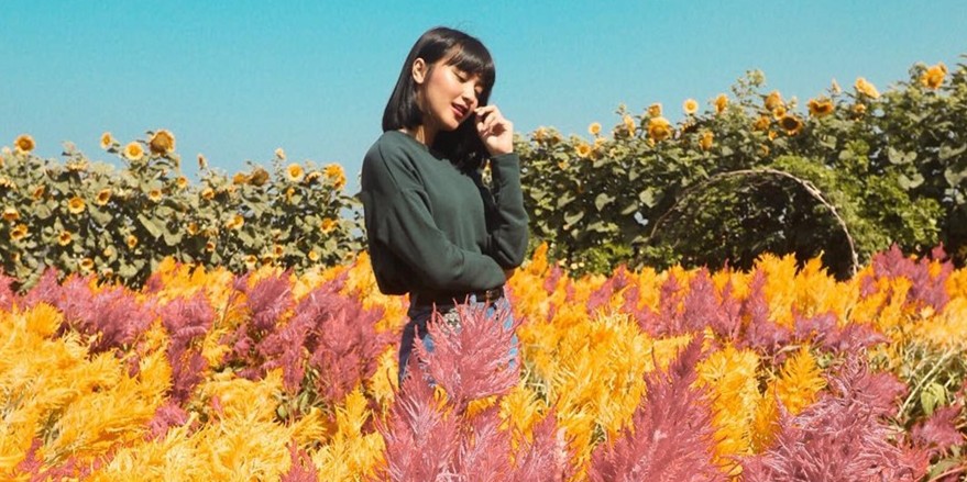 5 Kebun Bunga Di Jogja Ini Bisa Bikin Feed Instagrammu Makin Kece