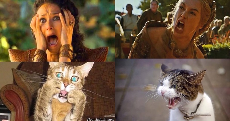 Ini jadinya jika kucing perankan 10 karakter Game of Thrones