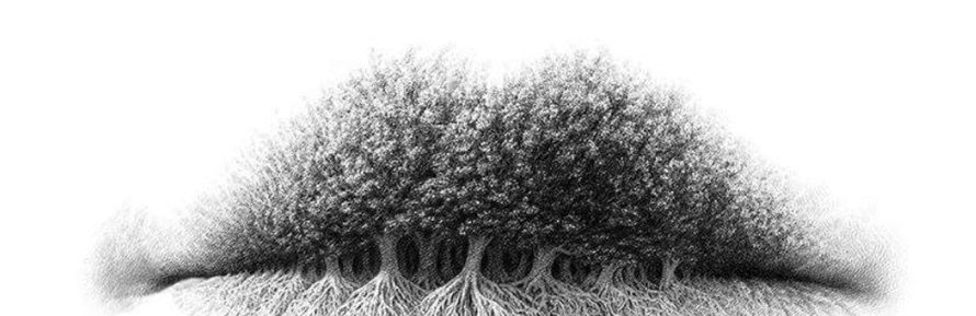 Bibir, pohon atau akar? Objek pertama yang kamu lihat ungkap pribadimu