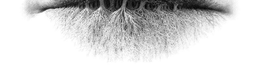 Bibir, pohon atau akar? Objek pertama yang kamu lihat ungkap pribadimu