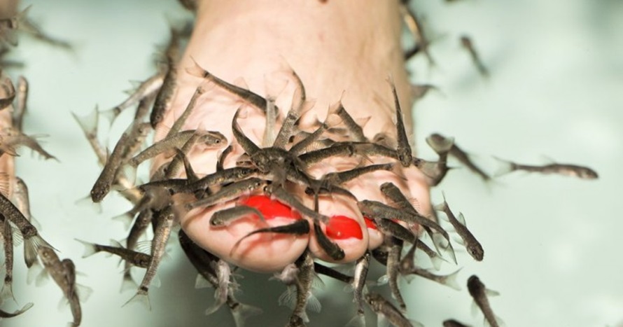 Gara-gara spa ikan, nasib kaki wanita ini berakhir tragis