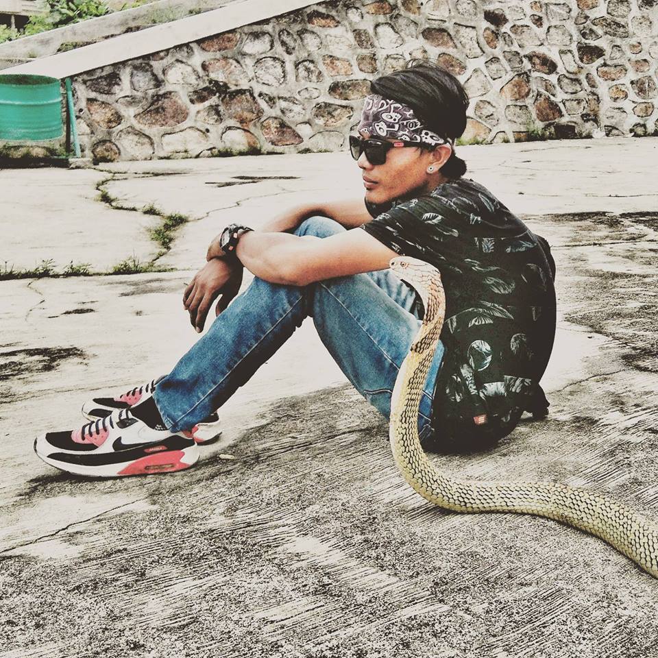 8 Aksi berbahaya Risky dengan king kobra, sebelum ular itu membunuhnya