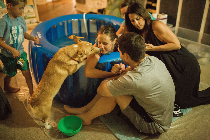 Kisah haru anjing temani majikan melahirkan, 10 fotonya bikin mewek
