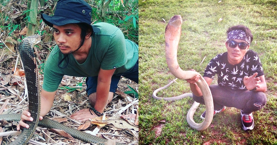 Heboh kasus Risky digigit king kobra, begini nasihat Panji Petualang