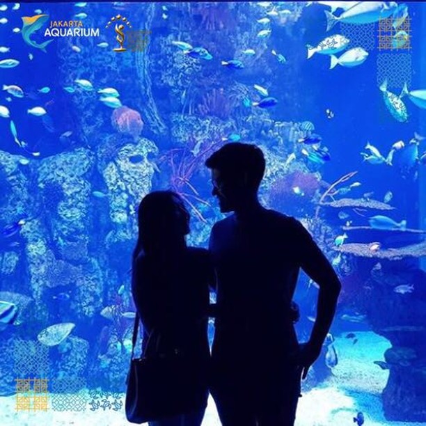 Wahana akuarium raksasa ini bisa hadirkan sensasi jelajah bawah laut