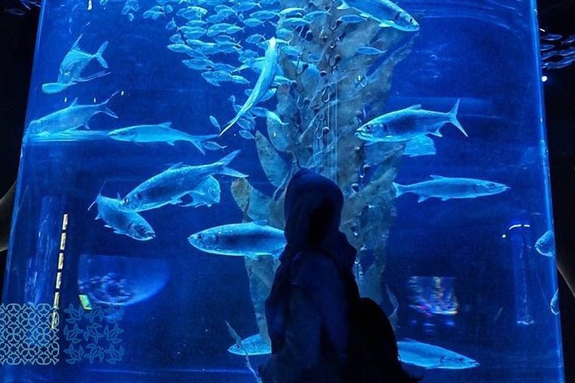 Wahana akuarium raksasa ini bisa hadirkan sensasi jelajah bawah laut
