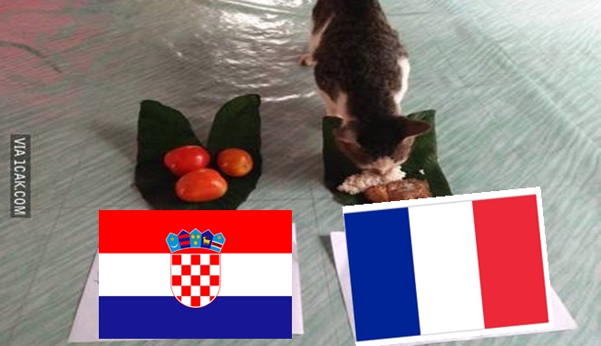 7 Prediksi hewan jelang final Piala Dunia 2018 ini ngeselin tapi kocak