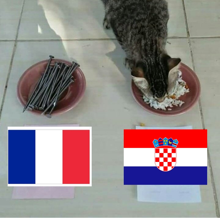 7 Prediksi hewan jelang final Piala Dunia 2018 ini ngeselin tapi kocak