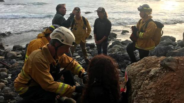 Terperosok ke jurang, cara wanita ini bertahan hidup bikin terkejut