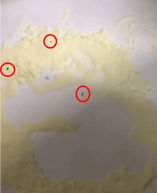 Beli susu formula balita, yang ditemukan wanita ini malah bikin syok 