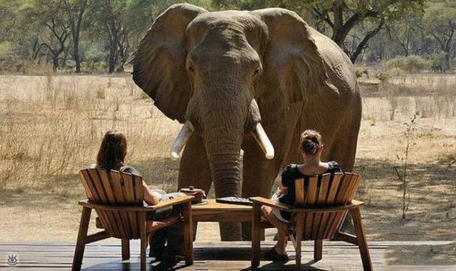 10 Momen saat orang bodo amat dengan sekitarnya, bikin tepuk jidat