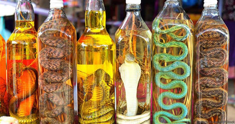 Ini 7 minuman ekstrem dari organ hewan di berbagai negara, kamu mau