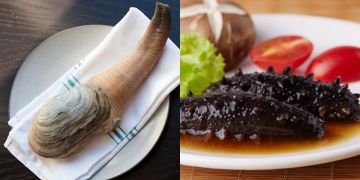 Punya bentuk aneh, 5 seafood unik ini justru jadi favorit orang Asia