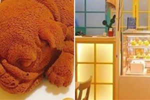 Viral es krim bentuk anjing lucu di Taiwan, tega menyantapnya?