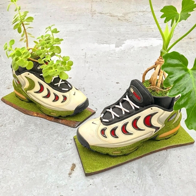 Pria Jepang ini sulap sneakers bekas jadi 10 pot tanaman, inspiratif