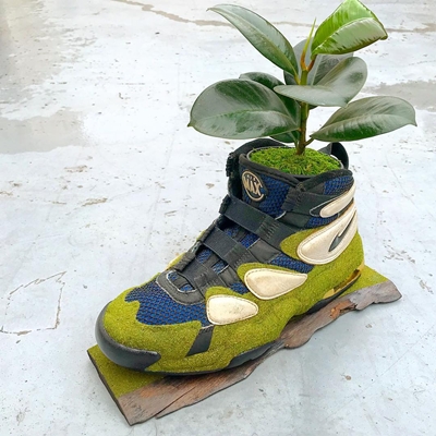 Pria Jepang ini sulap sneakers bekas jadi 10 pot tanaman, inspiratif