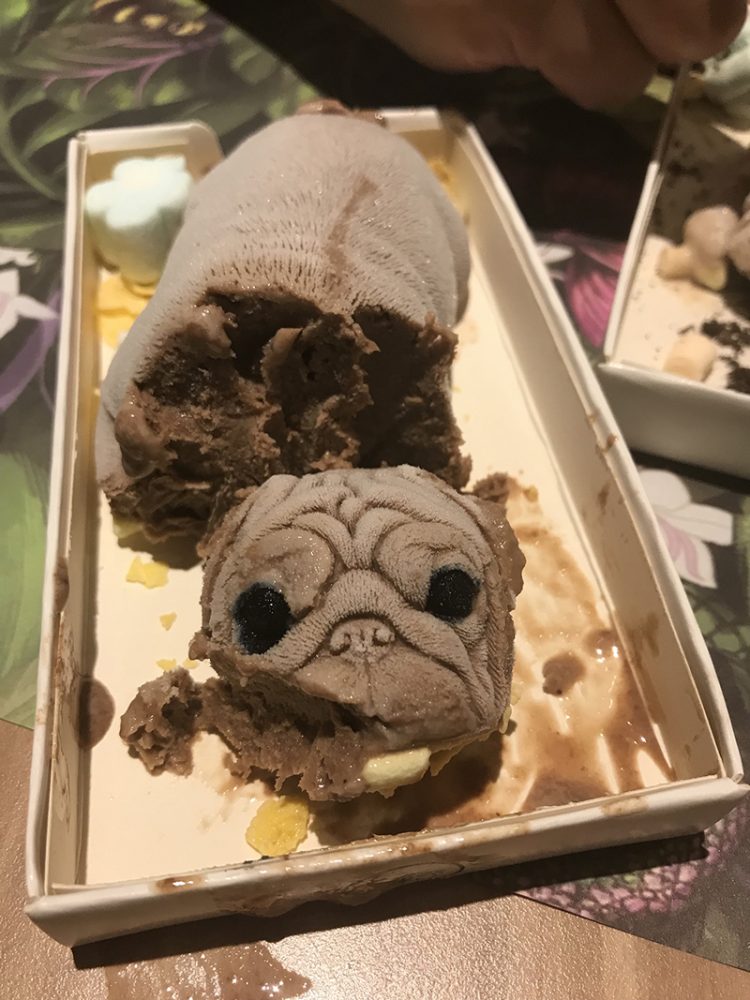 Es Krim Ini Berbentuk Anak Anjing Tertidur Detailnya Terlihat Ny