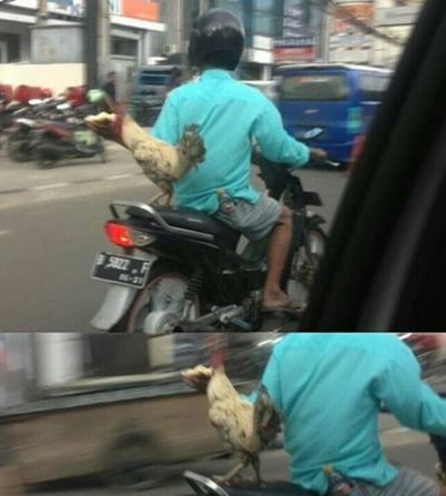 8 Benda tersangkut kendaraan ini bikin ngakak sambil mikir keras