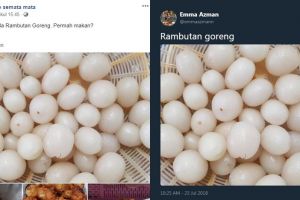 Olahan nyeleneh rambutan goreng viral, ternyata makanan khas Indonesia
