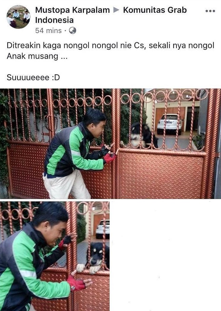 5 Kisah driver ojol dicegat anjing liar di jalan, auto putar balik deh