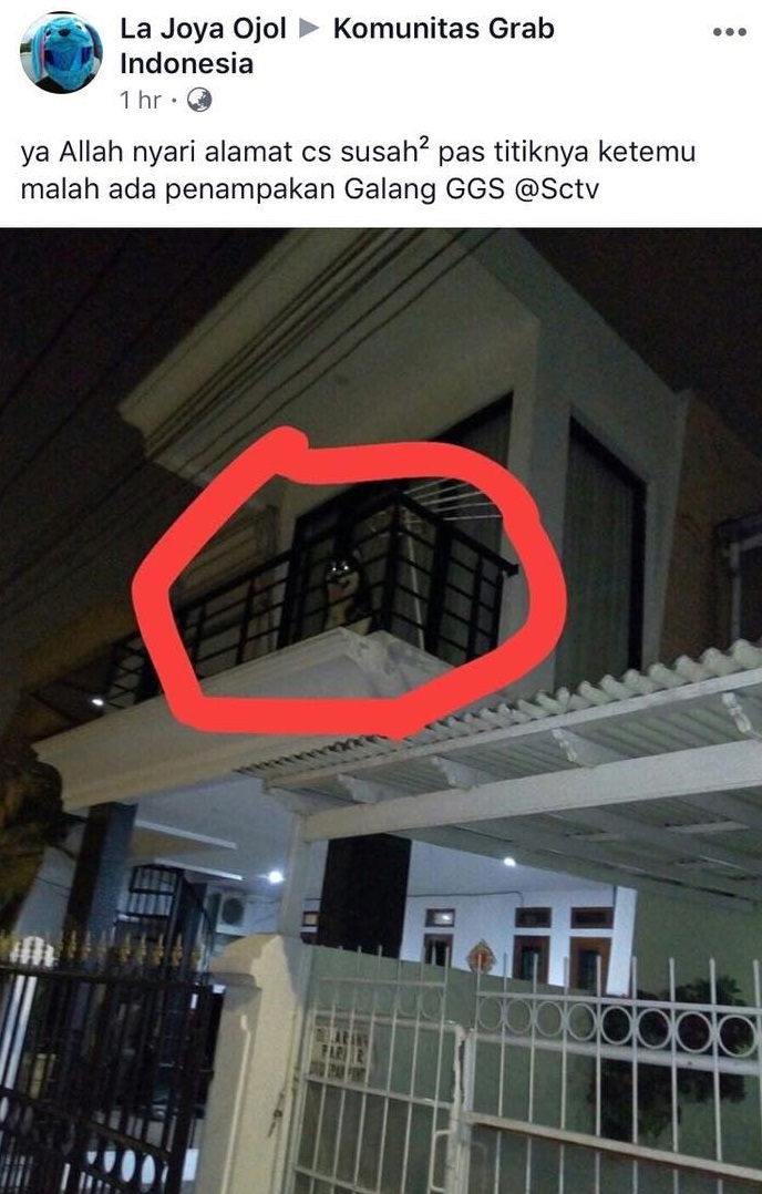 5 Kisah driver ojol dicegat anjing liar di jalan, auto putar balik deh