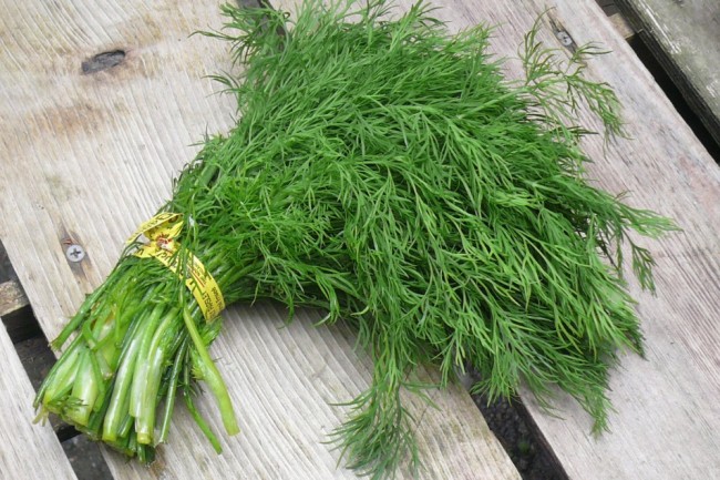 7 Jenis makanan yang tak kamu duga ini ampuh hilangkan jerawat