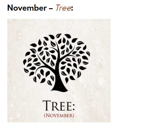 12 Simbol hewan menurut bulan lahir ini ungkap kepribadianmu