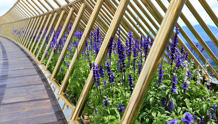 9 Potret jembatan emas ini arsitekturnya bikin takjub