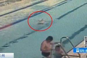 Terlihat santai berenang, kakek ini ternyata BAB di kolam renang