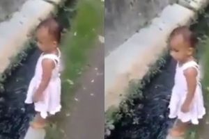 Jalan di pinggir got, bocah ini tiba-tiba bernasib apes