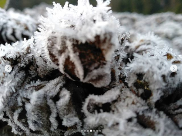 7 Potret Ranupani Gunung Semeru yang diselimuti es seperti Dieng