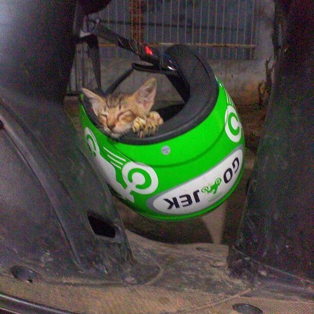 7 Benda terbawa driver ojek online ini bikin ngakak salto