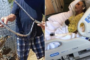 Gara-gara tergores cangkang kepiting, nasib lelaki ini di ujung tanduk