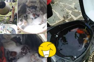 Cara memanfaatkan 7 benda ini bukti orang Indonesia terlalu kreatif