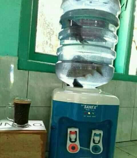 Cara memanfaatkan 7 benda ini bukti orang Indonesia terlalu kreatif