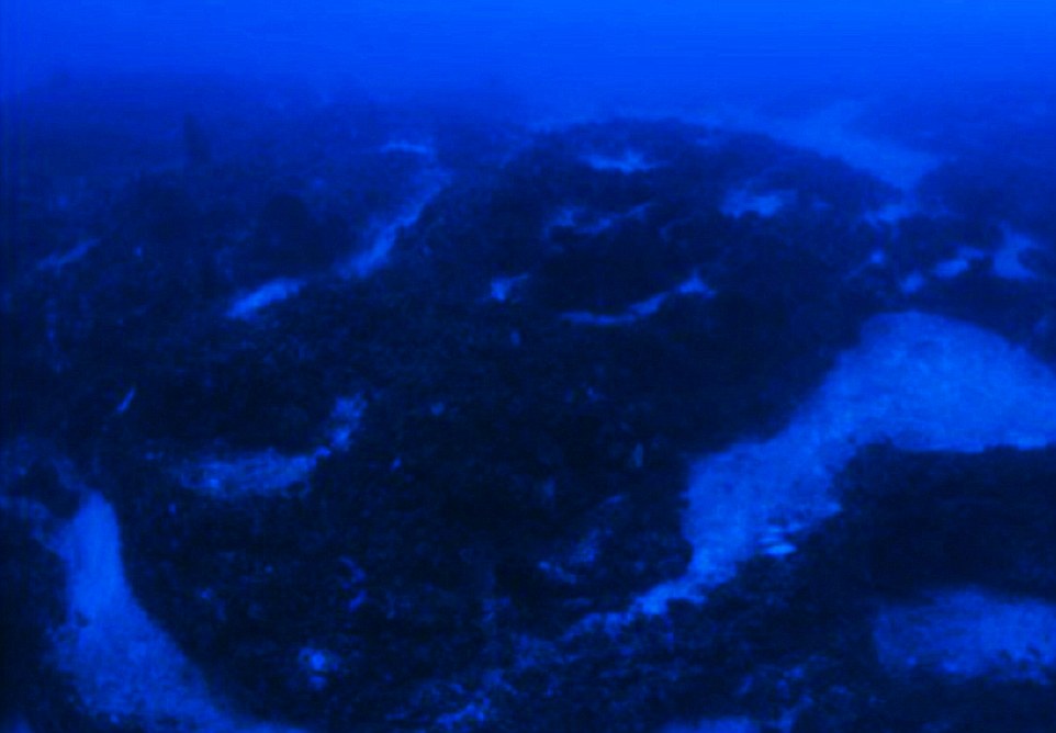 8 Potret pesawat luar angkasa yang ditemukan di bawah Segitiga Bermuda