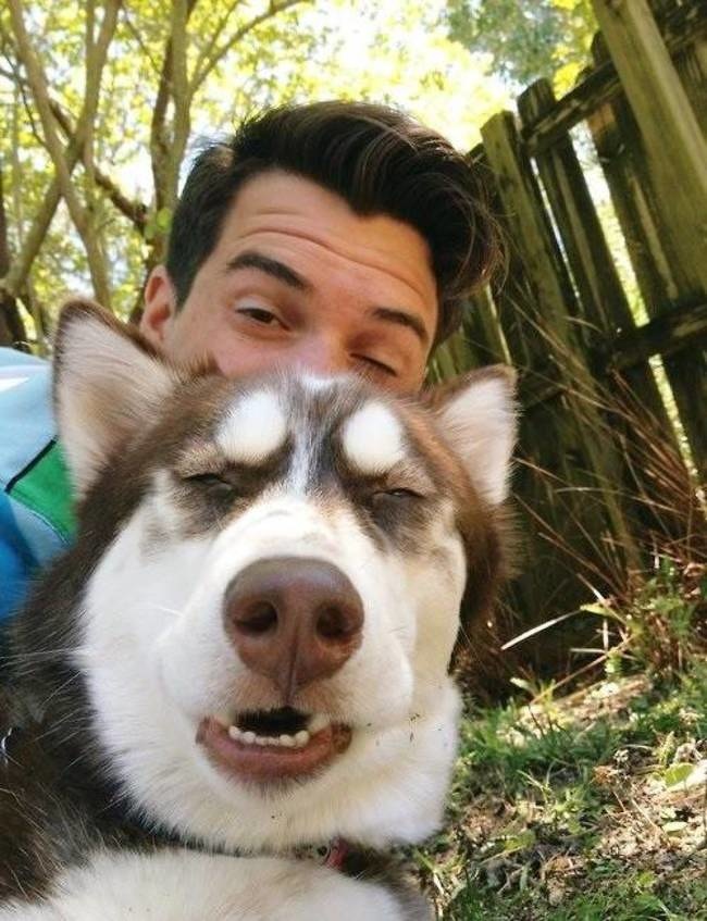 10 Ekspresi kocak hewan ketika diajak selfie ini bikin gemas