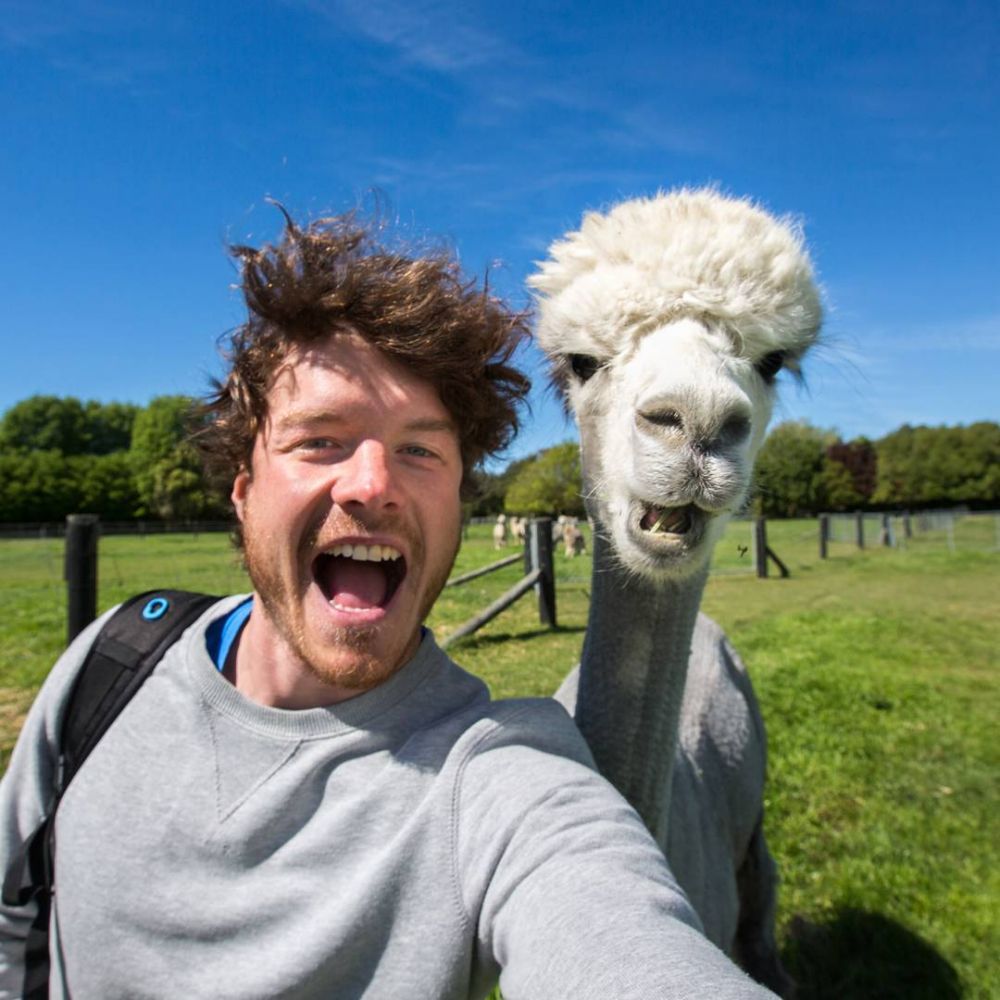 10 Ekspresi kocak hewan ketika diajak selfie ini bikin gemas