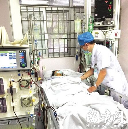 Makan jamur kuping yang direndam 2 hari, nasib anak ini berakhir miris